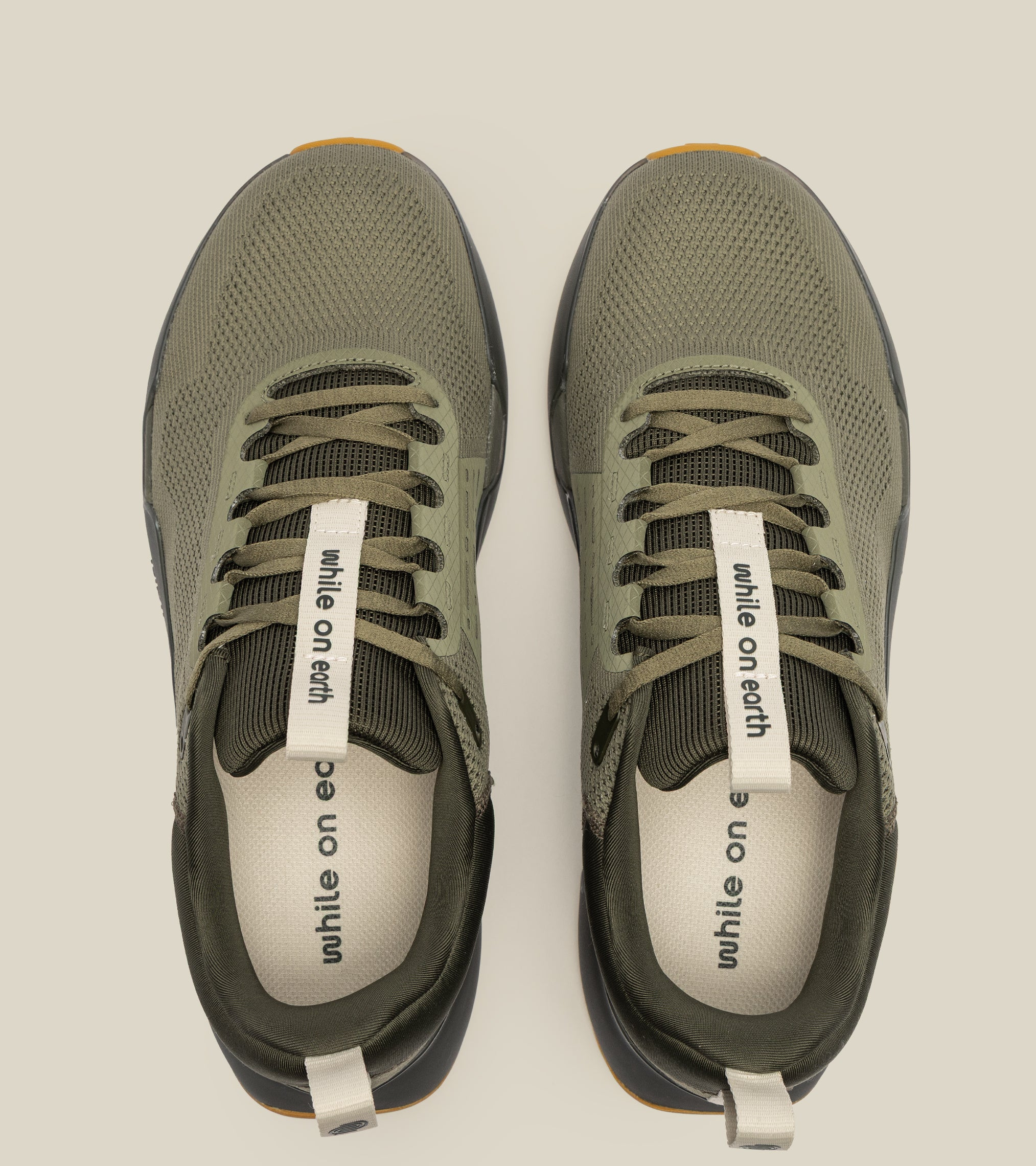 WHILE ON EARTH | Move Trainer Forest/Char